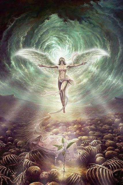 Warrior, Rogue & Mage, de Stargazer Games Warrior, Rogue & Mage, de Stargazer Games