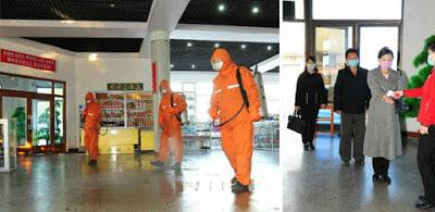 ¡Al final una gran parte de la verdad ha salido a la luz!