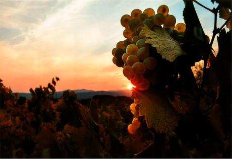 Camponaraya en el Camino. Conoce los ganadores del XXIII Concurso de Fotografía