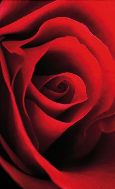 DES-EN-VOLVERnos  EN-VUEL(T)OS