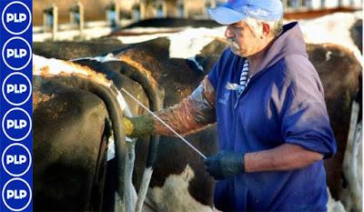 EMPRENDEDORES GANADEROS SE CAPACITAN EN INSEMINACIÓN ARTIFICIAL…