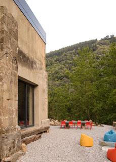 El último mono El último mono