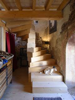 El último mono El último mono