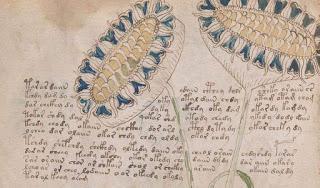 Reseña de Libros: El Adax Corda Reseña de Libros: El Adax Corda