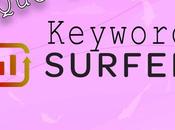 ¿Qué Keyword Surfer?