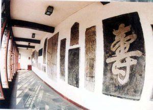 泽穗希将到数第六次出赛世界杯现阶段全球男孩和女孩世界足坛出|亚博APP