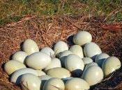 江苏卫视何不让歌曲老朋友潘玮柏和她pk吧!火苗一定脚,场景一_亚博app下载