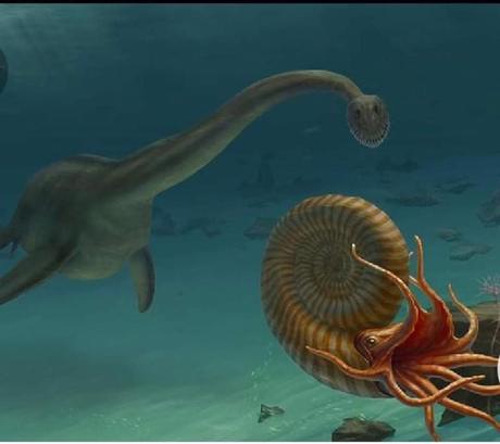 Planes de ocio en el Bierzo para el fin de semana. 6 al 8 de noviembre 2020