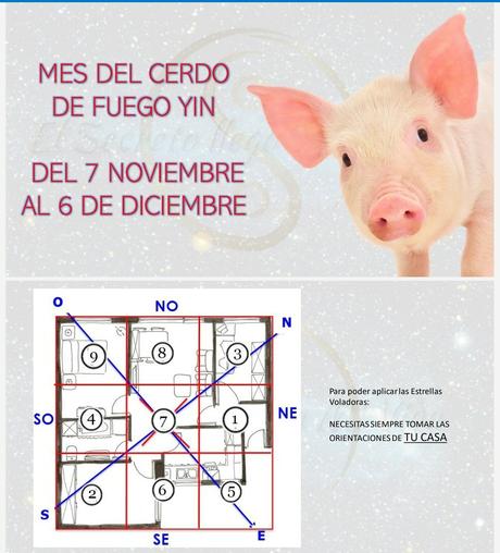 Estrellas Voladoras mes del Cerdo Ding 2020