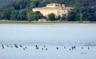APROVECHANDO EL CONFINAMIENTO PERIMETRAL