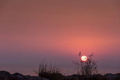 Otros escándalos del emérito… Para la IIIª República, todo es cuestión de tiempo.