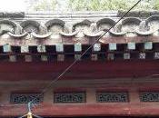 我希望更好的人能像周命舟一样被音乐治疗_亚博app官方版