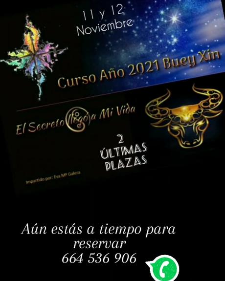 Ultimas Plazas Curso Estrellas voladoras 2021