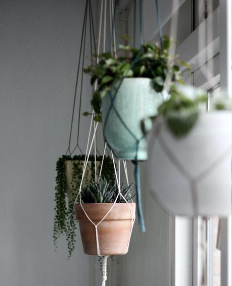 Cómo decorar tu casa con plantas