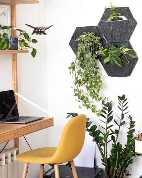 Cómo decorar tu casa con plantas