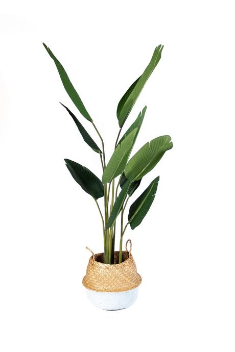 Tutto Deco: gráfica, vegetales y objetos, esenciales para el alma de los proyectos untitled-4