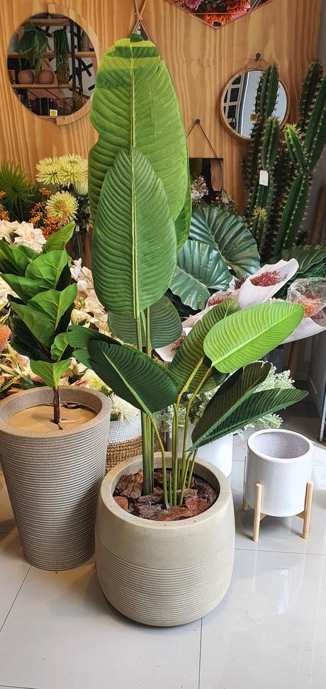 Tutto Deco: gráfica, vegetales y objetos, esenciales para el alma de los proyectos 20201005_130431