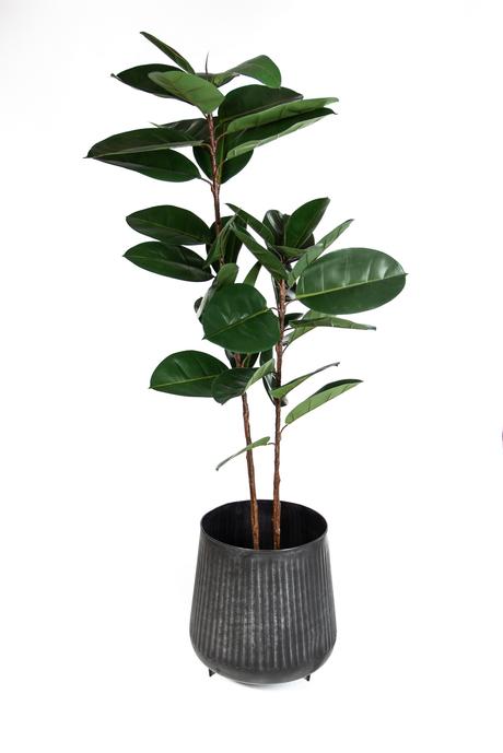 Tutto Deco: gráfica, vegetales y objetos, esenciales para el alma de los proyectos untitled-13