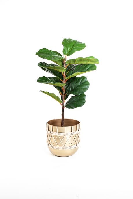 Tutto Deco: gráfica, vegetales y objetos, esenciales para el alma de los proyectos untitled-16