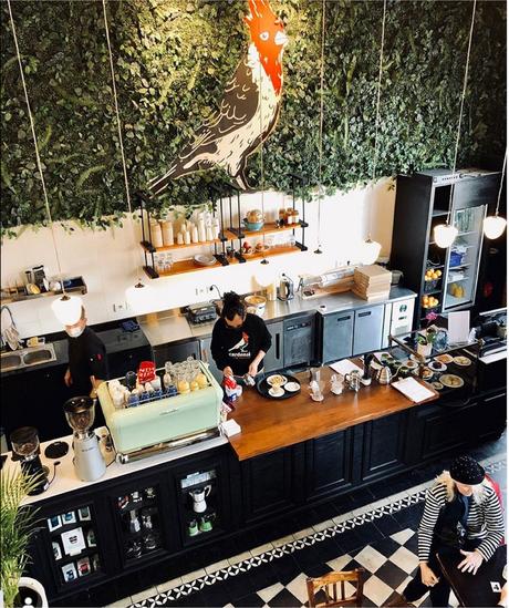 Tutto Deco: gráfica, vegetales y objetos, esenciales para el alma de los proyectos cardenal