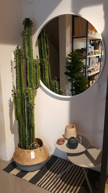 Tutto Deco: gráfica, vegetales y objetos, esenciales para el alma de los proyectos 20171025_181811