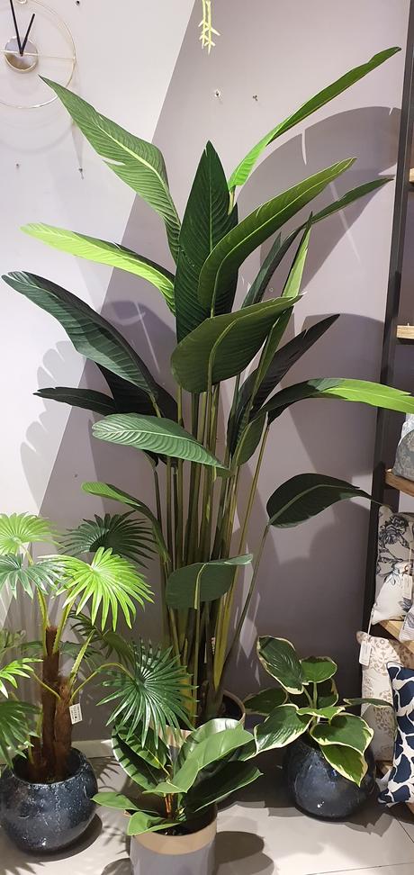 Tutto Deco: gráfica, vegetales y objetos, esenciales para el alma de los proyectos 20201005_130115