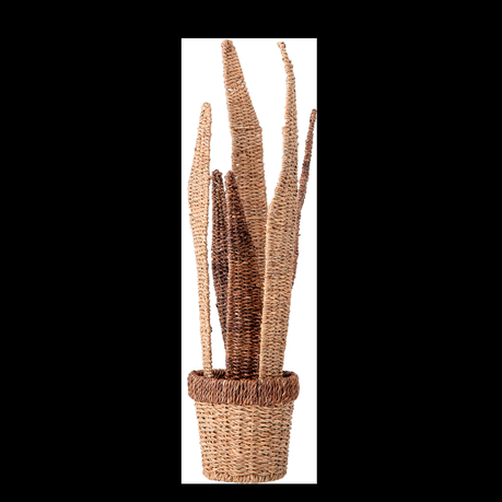 Tutto Deco: gráfica, vegetales y objetos, esenciales para el alma de los proyectos 82047051_1