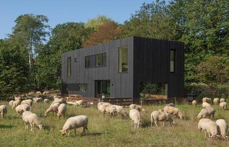 Casa Prefabricada Estilo Minimalista en Tilburg, Paises Bajos