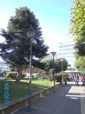 Una Plaza frente al mar chileno