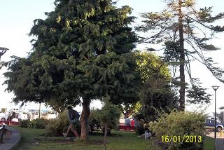 Una Plaza frente al mar chileno