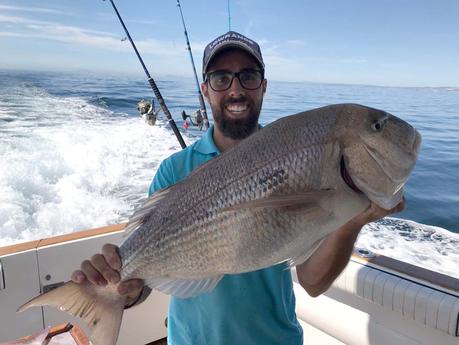 La pesca en invierno en la Costa del Sol según Lovit Charter Marbella