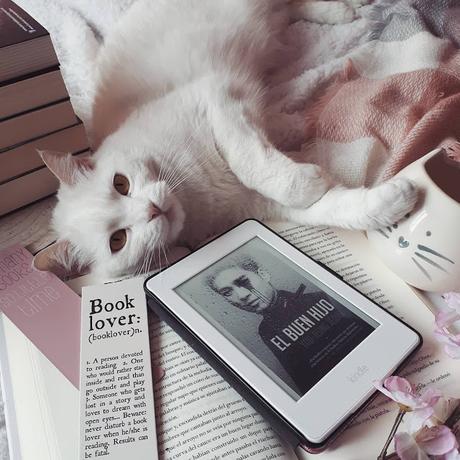 'El buen hijo', de You-Jeong Jeong 'El buen hijo', de You-Jeong Jeong