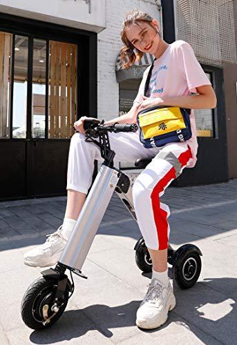 MRMRMNR Bicicletas Electricas Plegables para Hombre Y Mujer 36V 250W Scooter Eléctrico para Adultos, Triciclo Eléctrico para Ancianos, 30-45KM De Duración De La Batería, 4 Horas De Carga