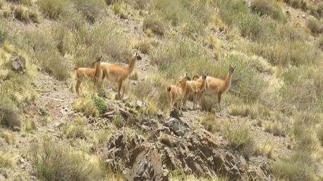El gran viaje de la ruta 40 en moto de norte a sur: la cuarta etapa, desde Abra del Acay hasta Cachi. El gran viaje de la ruta 40 en moto de norte a sur: la cuarta etapa, desde Abra del Acay hasta Cachi.
