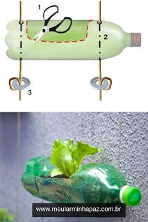 Beneficios de tener un huerto en casa.