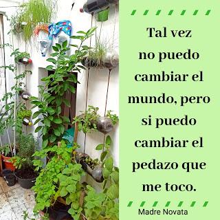 Beneficios de tener un huerto en casa.