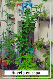 Beneficios de tener un huerto en casa.