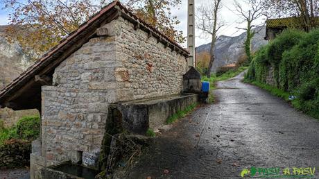 Fuente en Vis, Amieva