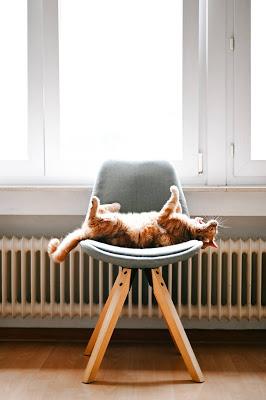 Radiador con una silla delante y un gato estirándose y bostezando sobre ella
