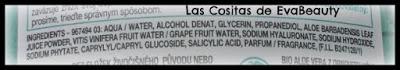 Ingredientes tónico facial con aloe y ácido hialurónico de Garnier en notino
