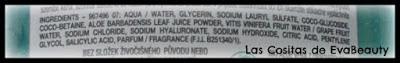 Ingredientes Gel limpiador con aloe vera y ácido hialurónico de Garnier en Notino