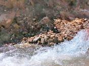 Sembrando agua para futuro...