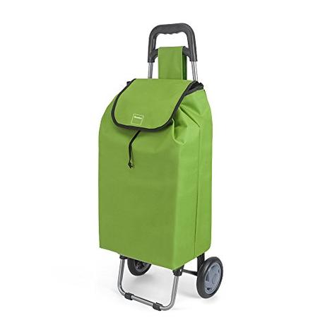 Carro de compra, cual te interesa comprar Metaltex Daphne - Carro de Compra con 2 Ruedas, 40 Litros, Verde