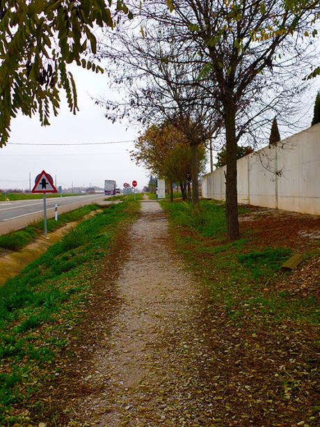 Repasando un tramo del Camino de Santiago. Desde León hasta San Miguel del Camino.