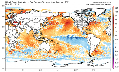 El fenómeno La Niña se sigue intensificando y es probable que se mantenga incluso más allá del primer trimestre de 2021