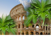 cannabis Roma