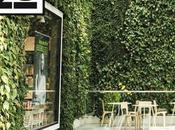 VIKENZO NATURE: beneficios jardines verticales