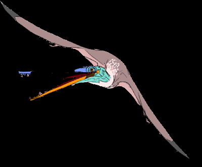 Viajando al pasado con Natalia Jagielska
