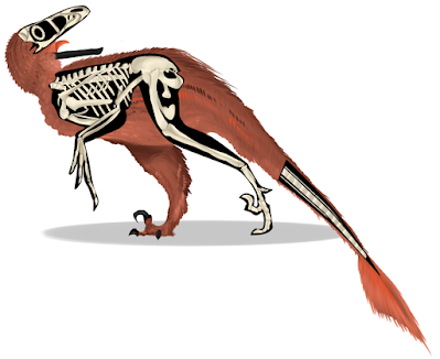 Viajando al pasado con Natalia Jagielska