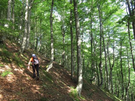 La Paraya-Yananzanes-Braña-Braña Foz-Ruayer-Las Foces de Ruayer